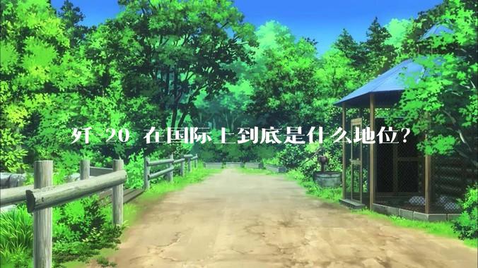 歼-20 在国际上到底是什么地位？