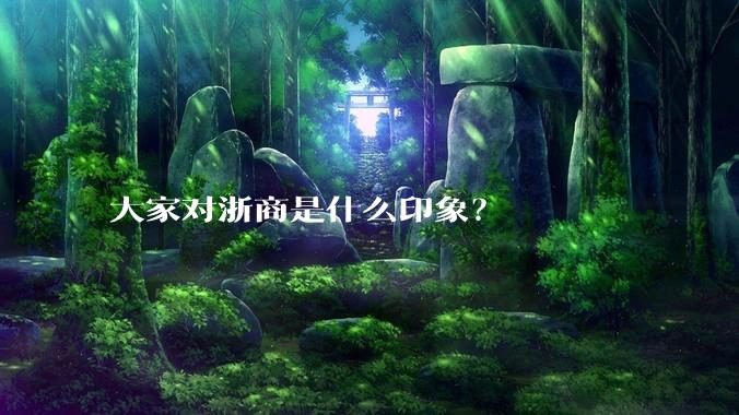 大家对浙商是什么印象？