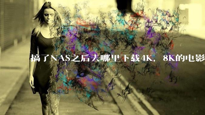 搞了NAS之后去哪里下载4K，8K的电影？