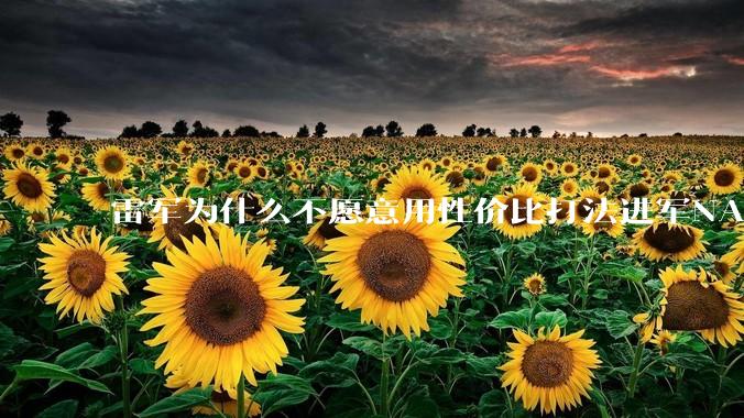 雷军为什么不愿意用性价比打法进军NAS？